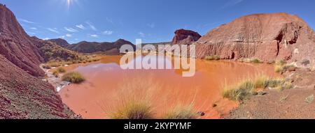 Un point d'eau marécageux dans le parc national de la Forêt pétrifiée Arizona appelé Tiponi Flats. Banque D'Images