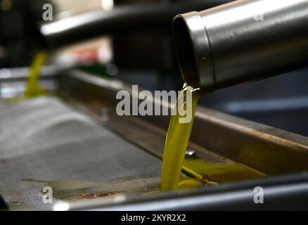 Hama, Syrie. 17th novembre 2022. L'huile d'olive s'écoule des tuyaux dans une usine d'huile d'Hama, Syrie, le 17 novembre 2022. POUR ALLER AVEC 'Interview: La célèbre huile d'olive de Syrie sur la voie de récupérer la stature mondiale au milieu de la guerre, sanctions: Officiel' Credit: Ammar Safarjalani/Xinhua/Alamy Live News Banque D'Images