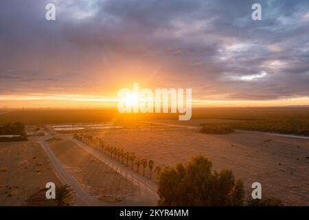 Lever tôt le matin lever du soleil sur le champ agricole et les terres agricoles en Californie. Banque D'Images