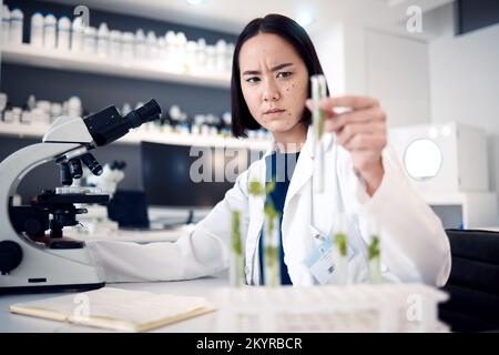 Scientifique femme, tube à essai et laboratoire pour les plantes en agriculture, sécurité alimentaire ou ogm sur table au microscope. Expert scientifique asiatique, recherche ou croissance de Banque D'Images