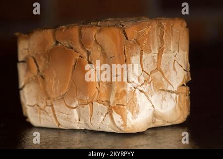 Le cube de levure de boulanger séché (Saccharomyces cerevisiae), photographie alimentaire avec fond sombre Banque D'Images