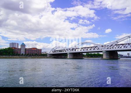 Pont Konrad Adenauer sur le Rhin près de Ludwigshafen. Banque D'Images