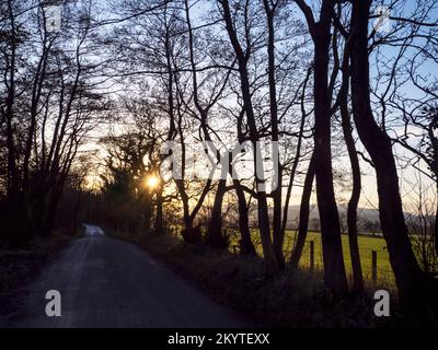 Coucher de soleil à travers la forêt et une ruelle de campagne près de Bolton par Bowland dans la vallée de Ribble, Lancashire, Royaume-Uni. Banque D'Images