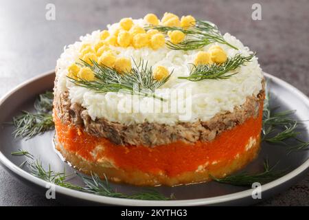 Salade russe de fête Mimosa avec saury en conserve, pommes de terre, fromage, carottes et œufs à proximité sur l'assiette de la table. Horizontale Banque D'Images