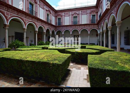 Magnifique patio avec jardin à l'intérieur du Museo de Bellas Artes à Séville Banque D'Images