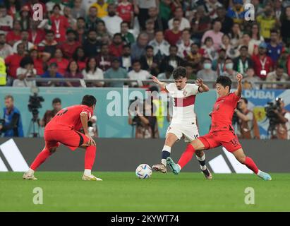 Doha, Qatar. 02nd décembre 2022. 12/02/2022, Education City Stadium, Doha, QAT, coupe du monde FIFA 2022, Groupe H, Corée du Sud contre Portugal, dans l'image le milieu de terrain de la Corée du Sud Jung Woo-Young, le milieu de terrain du Portugal Vitinha, le milieu de terrain de la Corée du Sud Lee Kang-in Credit: dpa Picture Alliance/Alay Live News Banque D'Images