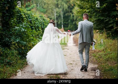 Le marié tient la main de la mariée sur la toile de fond d'un paysage magnifique. Les jeunes mariés tiennent les mains de l'autre. Banque D'Images