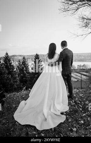 Le marié tient la main de la mariée sur la toile de fond d'un paysage magnifique. Les jeunes mariés tiennent les mains de l'autre. Banque D'Images