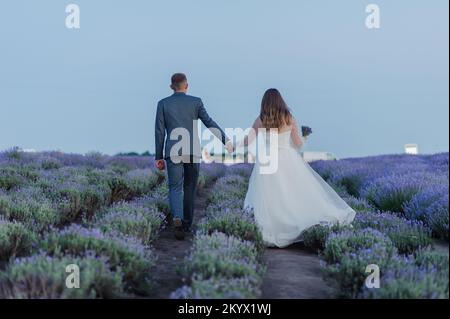 Le marié tient la main de la mariée sur la toile de fond d'un beau paysage d'un champ de lavande. Les jeunes mariés tiennent les mains. Banque D'Images