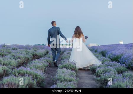 Le marié tient la main de la mariée sur la toile de fond d'un beau paysage d'un champ de lavande. Les jeunes mariés tiennent les mains. Banque D'Images