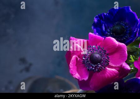 Fleurs sur fond de pierre d'anémones Banque D'Images