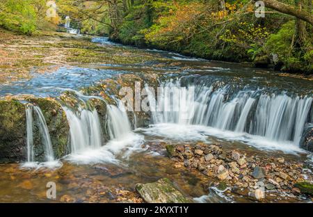 En premier plan se trouvent les chutes Horseshoe et derrière les chutes Lower Ddwli, toutes deux sur la rivière Neath/Afon Nedd dans la vallée de Neath sur l'une des promenades. Banque D'Images