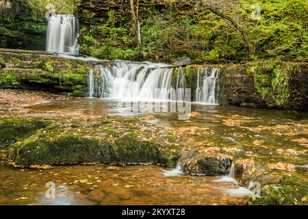 Les chutes de Lower Ddwli dans la vallée de Neath en automne sur la rivière/Afon Neath/Nedd dans la vallée de Neath au sud du pays de Galles Banque D'Images