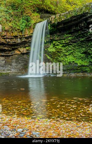 Scwd ou Sgwy Gwladys sur l'Afon ou la rivière Pyrddin dans la vallée de Neath sur la promenade en cascade. Banque D'Images