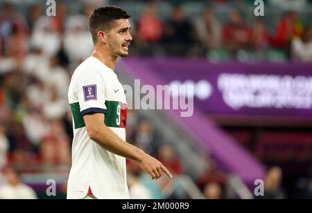 Doha, Qatar. 02nd décembre 2022. André Silva du Portugal lors de la coupe du monde de la FIFA 2022, match de football du Groupe H entre la République de Corée et le Portugal sur 2 décembre 2022 au stade de la ville d'éducation à Doha, Qatar - photo Jean Catuffe / DPPI crédit: DPPI Media/Alay Live News Banque D'Images