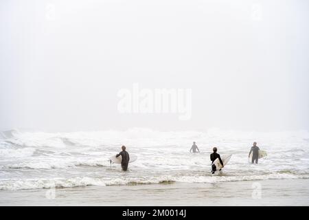 Des surfeurs en patrouille à l'aube au lever du soleil lors d'une matinée brumeuse à Jacksonville Beach, dans le nord-est de la Floride. (ÉTATS-UNIS) Banque D'Images
