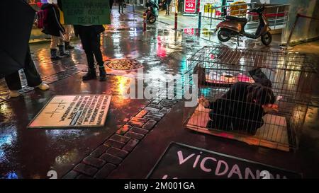 Izmir, Turquie. 02nd décembre 2022. Afalina, un groupe de défense des droits des animaux végétaliens, qui s'est réuni pour être une voix pour la liberté des animaux en captivité, a protesté contre l'esclavage des animaux avec la performance de la cage et a répondu aux questions de la foule curieuse sur le mode de vie des légumes. (Photo par Idil Toffolo/Pacific Press) crédit: Pacific Press Media production Corp./Alay Live News Banque D'Images