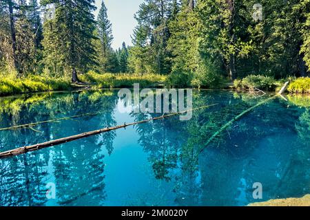 Beau lac Little Crater, Pacific Crest Trail, Oregon, États-Unis Banque D'Images