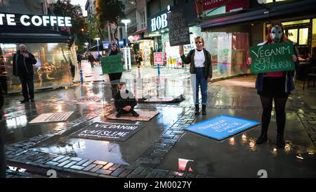 Izmir, Turquie, Turquie. 2nd décembre 2022. Afalina, un groupe de défense des droits des animaux végétaliens, qui s'est réuni pour être une voix pour la liberté des animaux en captivité, a protesté contre l'esclavage des animaux avec la performance de la cage et a répondu aux questions de la foule curieuse sur le mode de vie des légumes. (Credit image: © Dil Toffolo/Pacific Press via ZUMA Press Wire) Banque D'Images