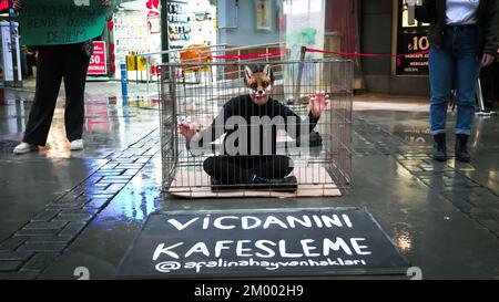 Izmir, Turquie, Turquie. 2nd décembre 2022. Afalina, un groupe de défense des droits des animaux végétaliens, qui s'est réuni pour être une voix pour la liberté des animaux en captivité, a protesté contre l'esclavage des animaux avec la performance de la cage et a répondu aux questions de la foule curieuse sur le mode de vie des légumes. (Credit image: © Dil Toffolo/Pacific Press via ZUMA Press Wire) Banque D'Images