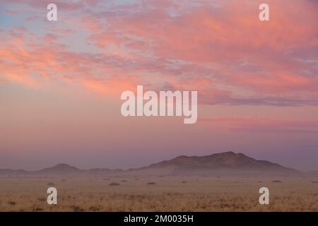 Paysage sur la route principale C19, lever du soleil, brouillard au sol, Namibie, Afrique Banque D'Images