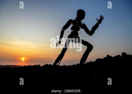Homme de pierre par l'artiste RENN au Skeleton Coast View point dans le désert de Namib, heure bleue, Lone Men, Kaokoland, région de Kunene, Namibie, Afrique Banque D'Images