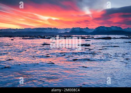 Atmosphère matinale au-dessus de la baie gelée de Kachemak avec les montagnes Kenai en arrière-plan, près de Homer sur la péninsule de Kenai, Alaska, États-Unis, North Amer Banque D'Images