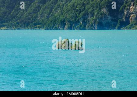 Petite île de ciboulette dans les eaux turquoise du lac Walen, canton St. Gallen, Suisse, Europe Banque D'Images