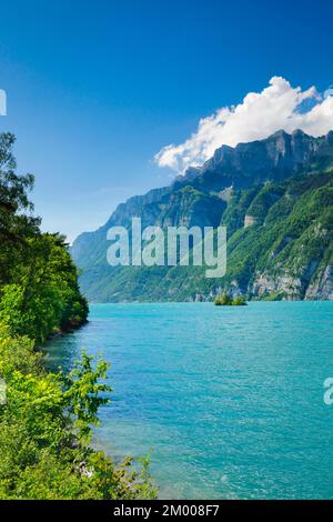 Vue ensoleillée sur le lac Walen avec la petite île de ciboulette dans l'eau turquoise et la chaîne de montagnes Schären et Leistchamm en arrière-plan, Canton St. Banque D'Images