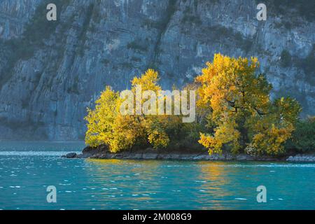 Petite île de ciboulette dans les eaux turquoise du lac Walen, canton St. Gallen, Suisse, Europe Banque D'Images