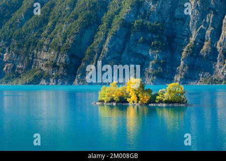 Petite île de ciboulette dans les eaux turquoise du lac Walen, canton St. Gallen, Suisse, Europe Banque D'Images