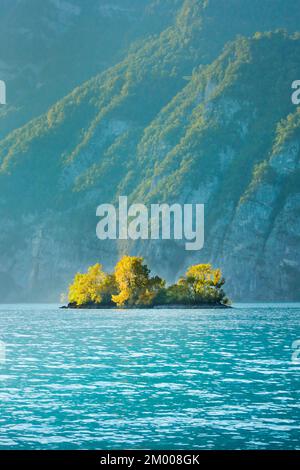 Petite île de ciboulette dans les eaux turquoise du lac Walen, canton St. Gallen, Suisse, Europe Banque D'Images