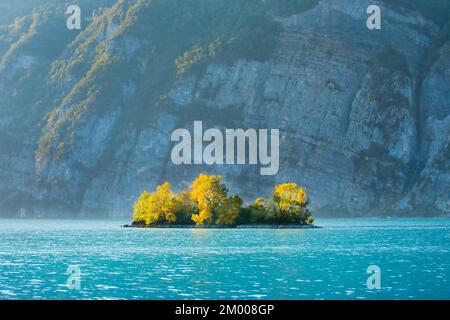 Petite île de ciboulette dans les eaux turquoise du lac Walen, canton St. Gallen, Suisse, Europe Banque D'Images