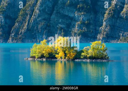 Petite île de ciboulette dans les eaux turquoise du lac Walen, canton St. Gallen, Suisse, Europe Banque D'Images