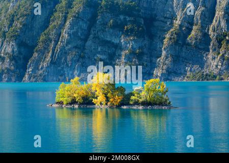 Petite île de ciboulette dans les eaux turquoise du lac Walen, canton St. Gallen, Suisse, Europe Banque D'Images