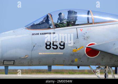 Préfecture de Fukuoka, Japon - 14 avril 2014 : gros plan de l'équipage du Boeing F-15J de la Force aérienne d'autodéfense du Japon. Banque D'Images