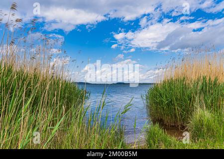 Vue sur le lac Berzdorfer Voir près de Goerlitz, Allemagne. Banque D'Images