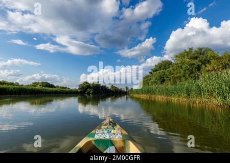 Les lacs et les canaux du delta du Danube en Roumanie Banque D'Images