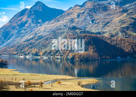 Vue idyllique sur les rochers et les montagnes couvertes de mélèze aux couleurs automnales le long du lac Sils, vallée de l'Engadin, Suisse. Banque D'Images