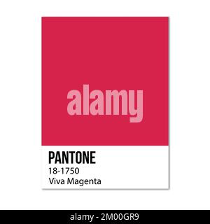 Pantone 18-1750 Viva Magenta. Couleur de tendance de l'année 2023. Illustration vectorielle Illustration de Vecteur