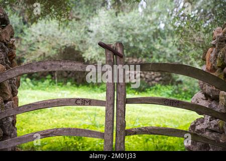 Porte en bois typique de menorcan en pierre sèche, Minorque, Iles Baléares, Espagne. Banque D'Images