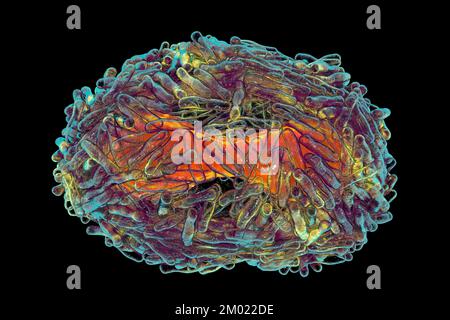 Particules du virus de la variole du singe, illustration Banque D'Images