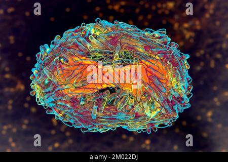 Particules du virus de la variole du singe, illustration Banque D'Images