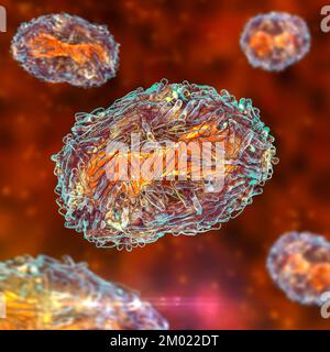 Particules du virus de la variole du singe, illustration Banque D'Images