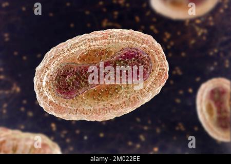 Particules du virus de la variole du singe, illustration Banque D'Images