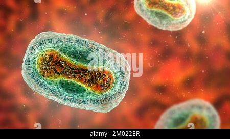 Particules du virus de la variole du singe, illustration Banque D'Images