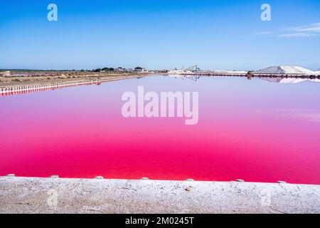 La production de sel, le lagon rose et les collines de la mer Méditerranée se trouvent à Aigues-mortes . Camargue, France. Photo de haute qualité Banque D'Images