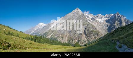 Le panorama du massif du Grand Jorasses depuis la vallée du Val Ferret en Italie - Trekking Mont Blank. Banque D'Images