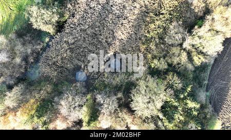 Puddle marécage dig bêche travailleur homme drone aérien protection de flaque conservation nature out construire un amphibien reproducteur de nouveaux excavations bassin de fosse à la main. Nous Banque D'Images