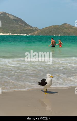 ARRAIAL DO CABO, RJ, BRÉSIL - 10 SEPTEMBRE 2022 : un mouette et quelques touristes appréciant la plage d'eau bleue cristalline. Banque D'Images